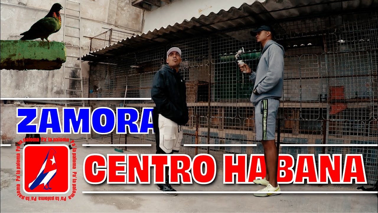 PALOMAS EN CENTRO HABANA - ZAMORA
