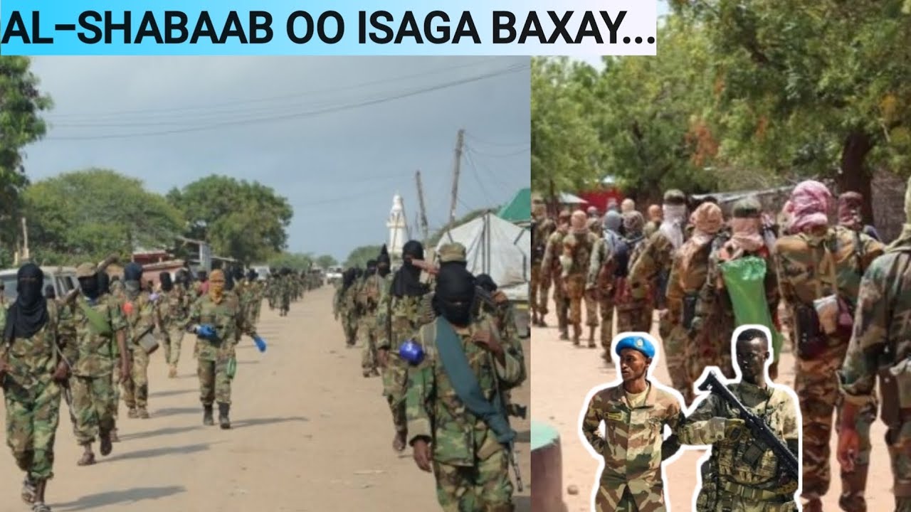 Al-Shabaab oo isaga baxay Moqokori iyo Maxaas iyo Duqeymo lagu garaacay iyo Cali jeyte.