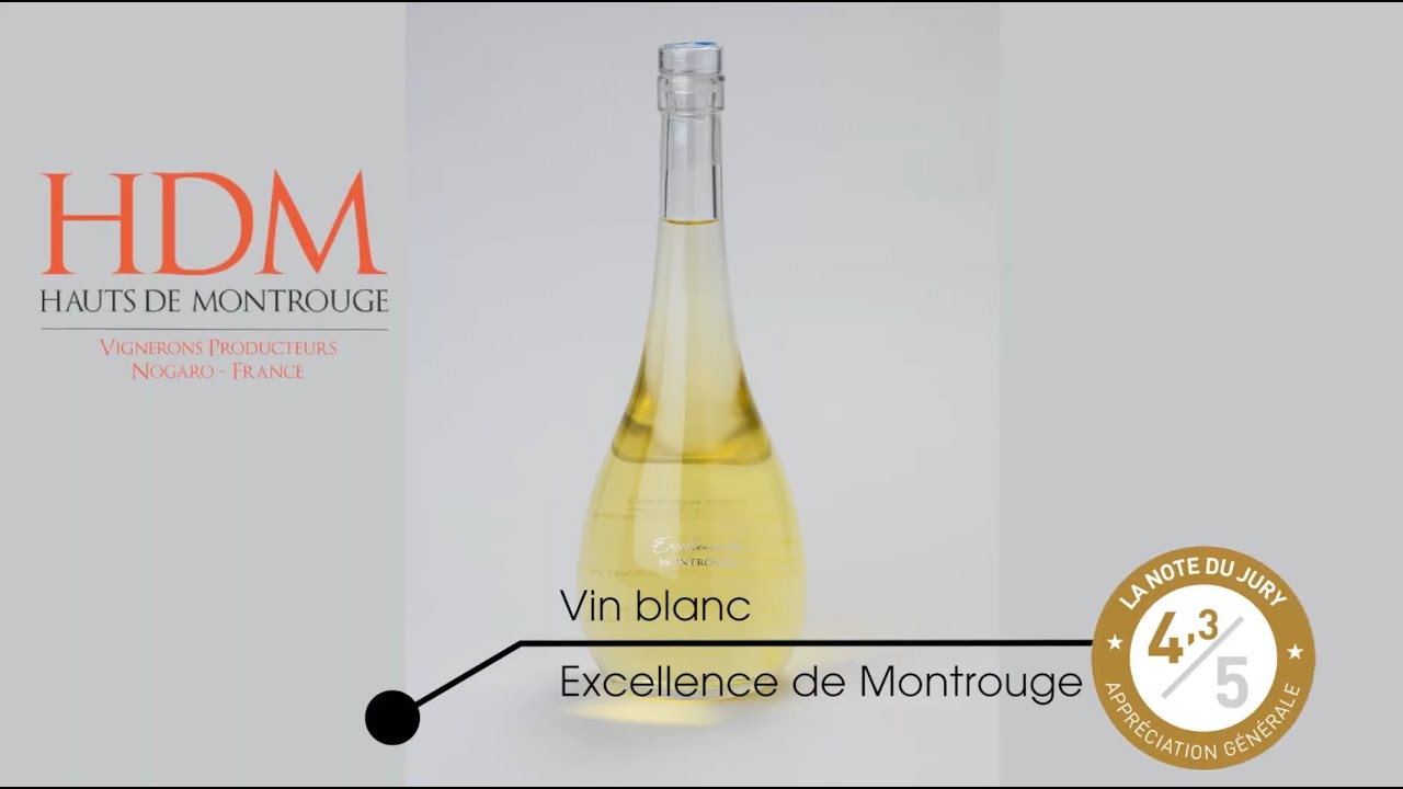 Analyse sensorielle d'un vin blanc Exellence Gros Manseng ! GdF n°37