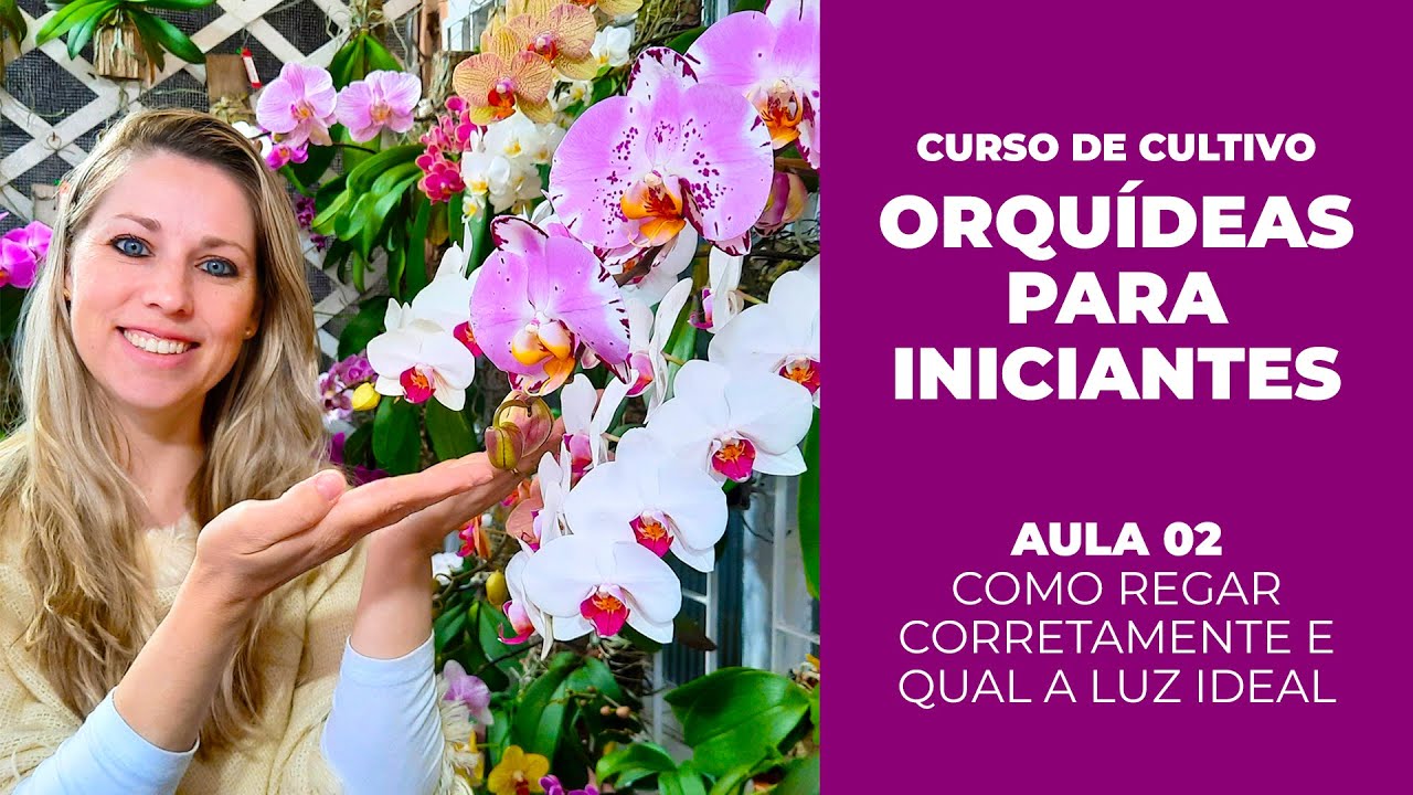 AULA 02 - COMO REGAR CORRETAMENTE E QUAL A LUZ IDEAL