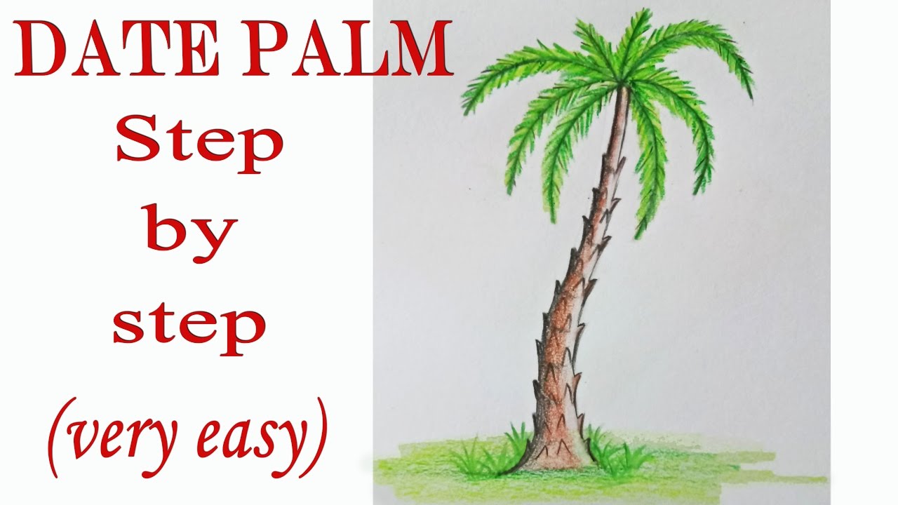 How to draw a date palm step by step (very easy) || Art video