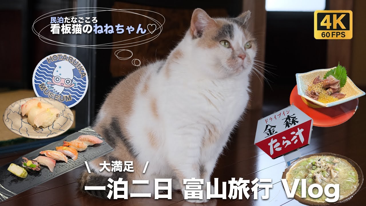 【1泊2日】猫好きさん必見🐈 富山旅行Vlog 2025/5