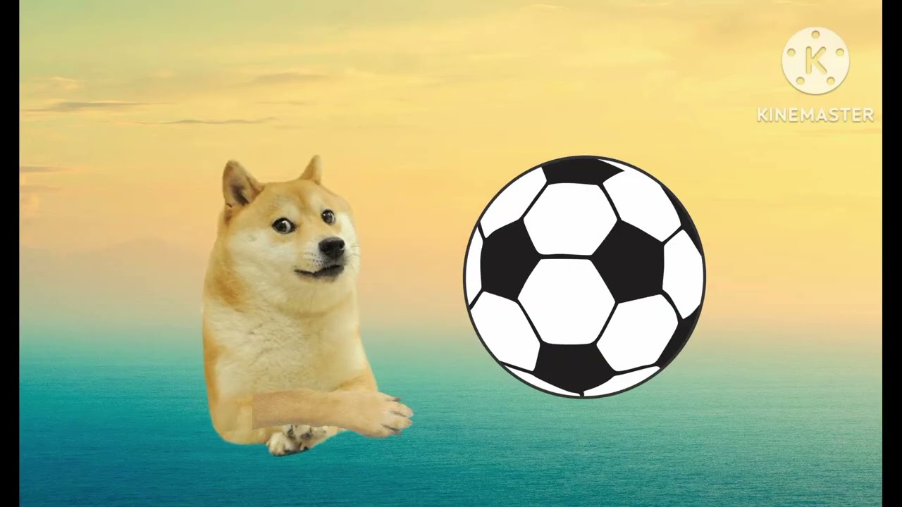 Bienvenido a Doge-Lore