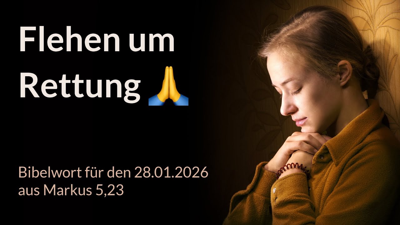 Bibelwort und Tagesimpuls am 28.01.2026:
Flehen um Rettung 🙏