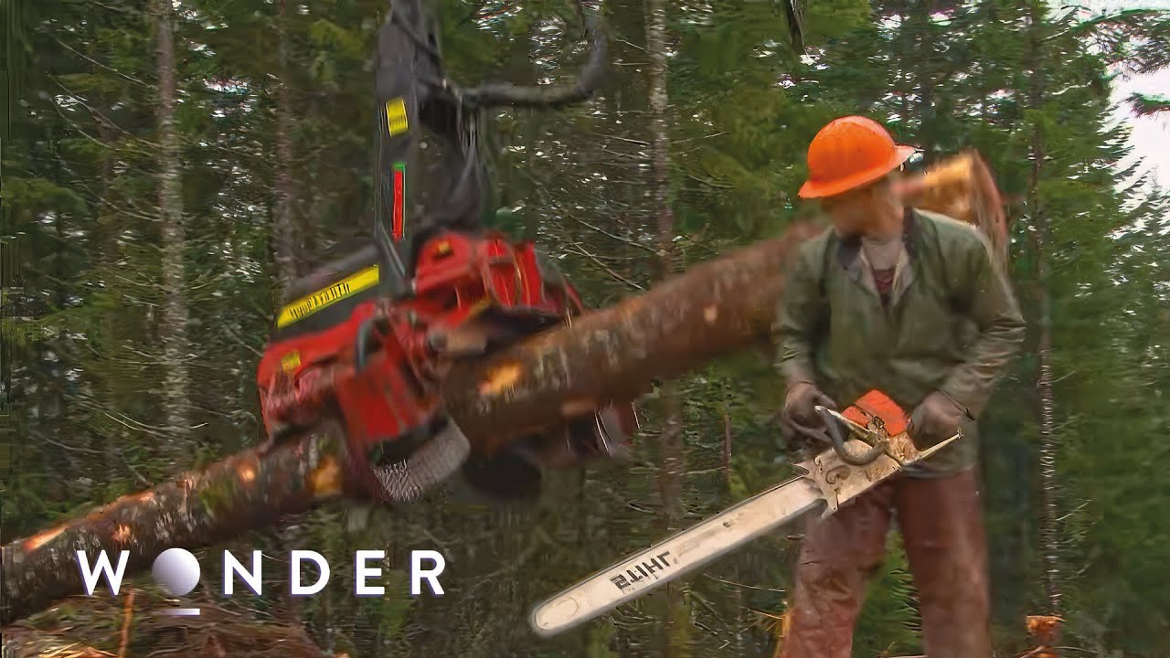 Is This The Deadliest Job In North America?