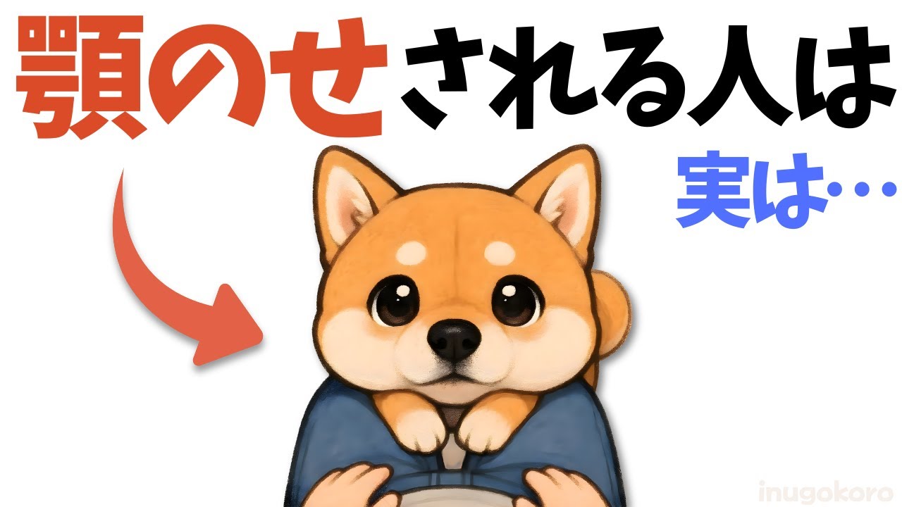 【犬の本音】 犬が顎を乗せるのは“特別な人”だけ？｜知らないと損する12の心理