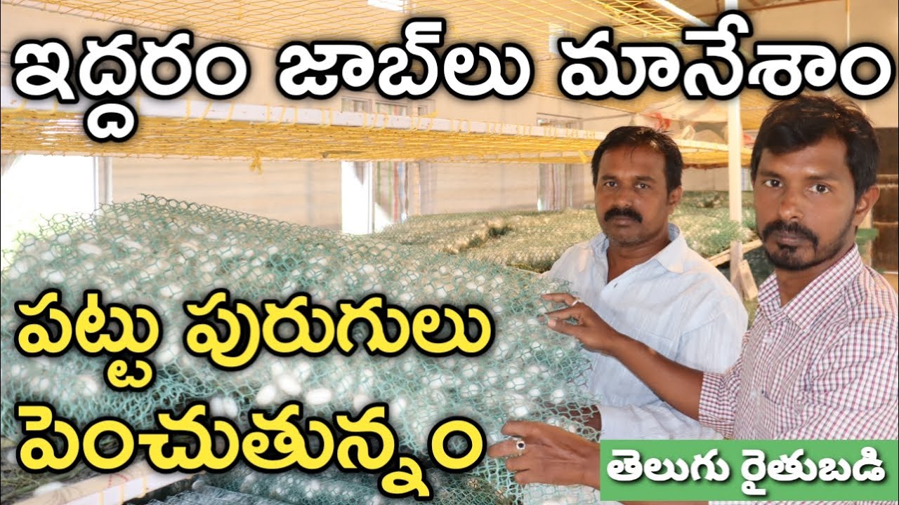 ఉద్యోగాలు వదిలేసి పట్టు సాగు చేస్తున్నం.. హ్యాపీగా ఉన్నం | Silk Farmers Sadiq & Rafeeq | రైతు బడి