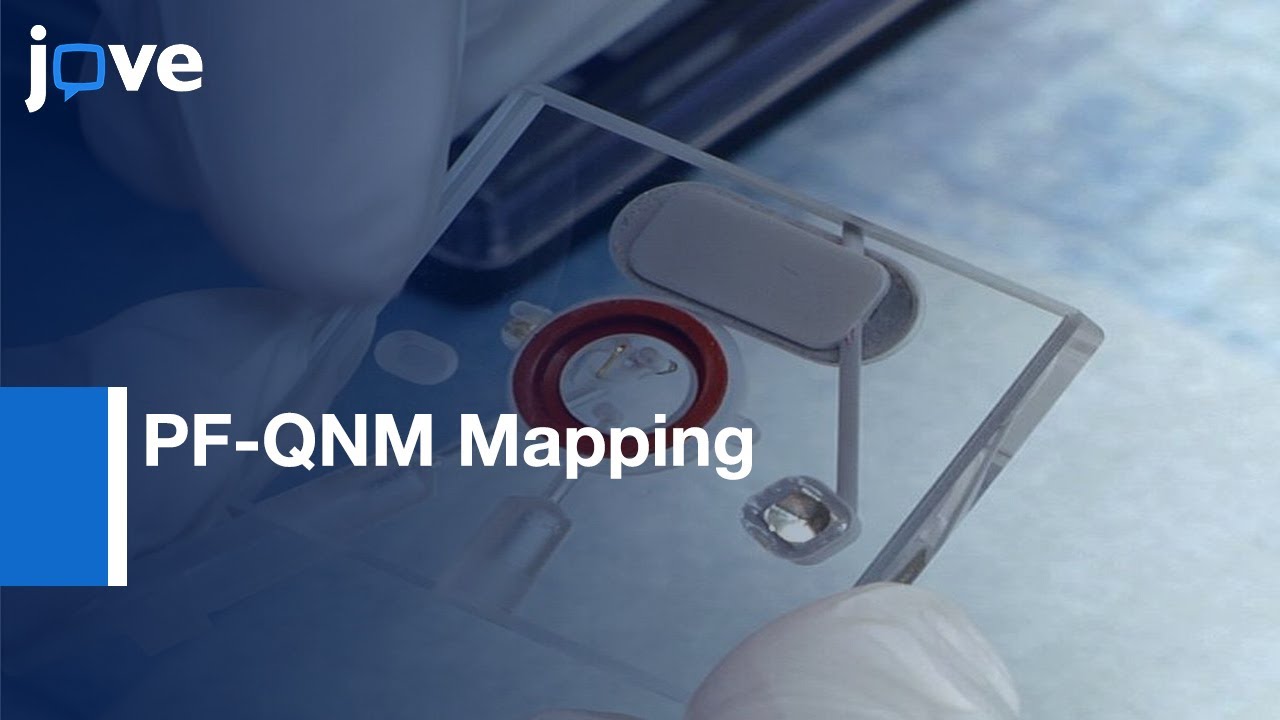 AFM of Red-Light Photoreceptors Using PF-QNM Properties Mapping | Protocol Preview