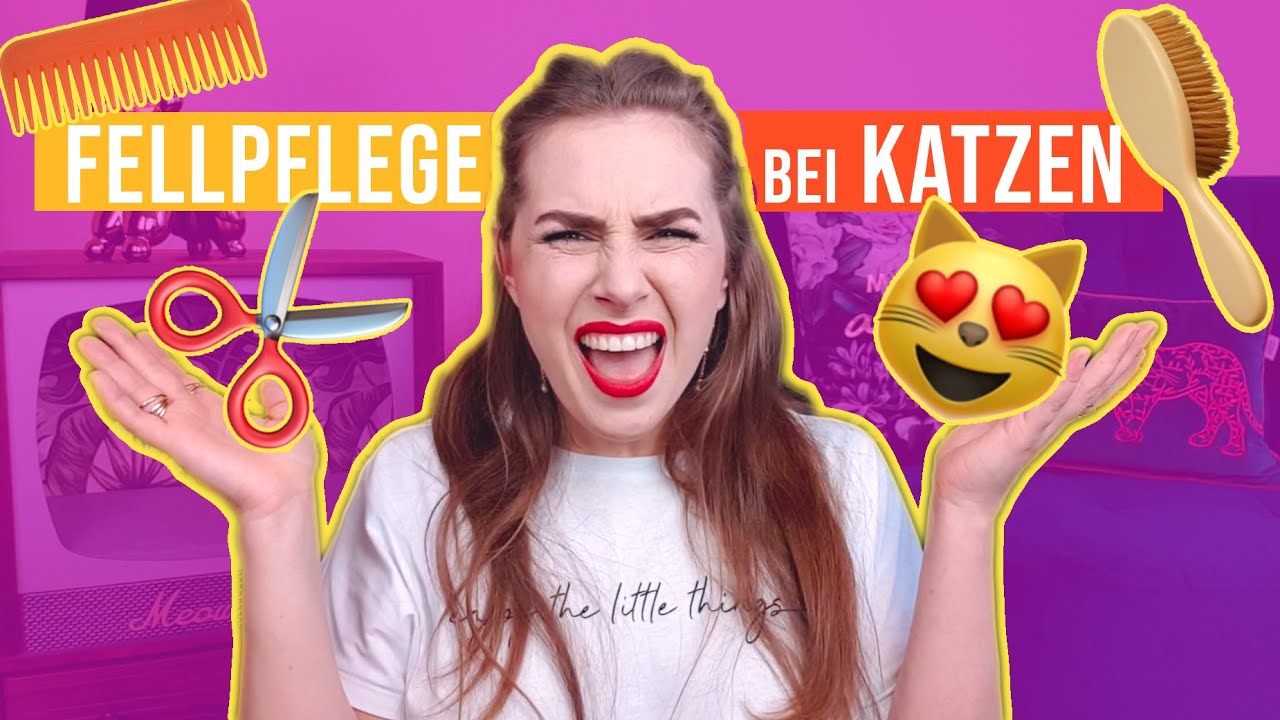richtige Fellpflege nicht nur bei Langhaarkatzen / 9 Tipps f&uuml;r Katze und Katzenbesitzer / Amely Rose