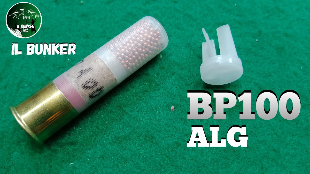 BP100 + Alg CALIBRO 28