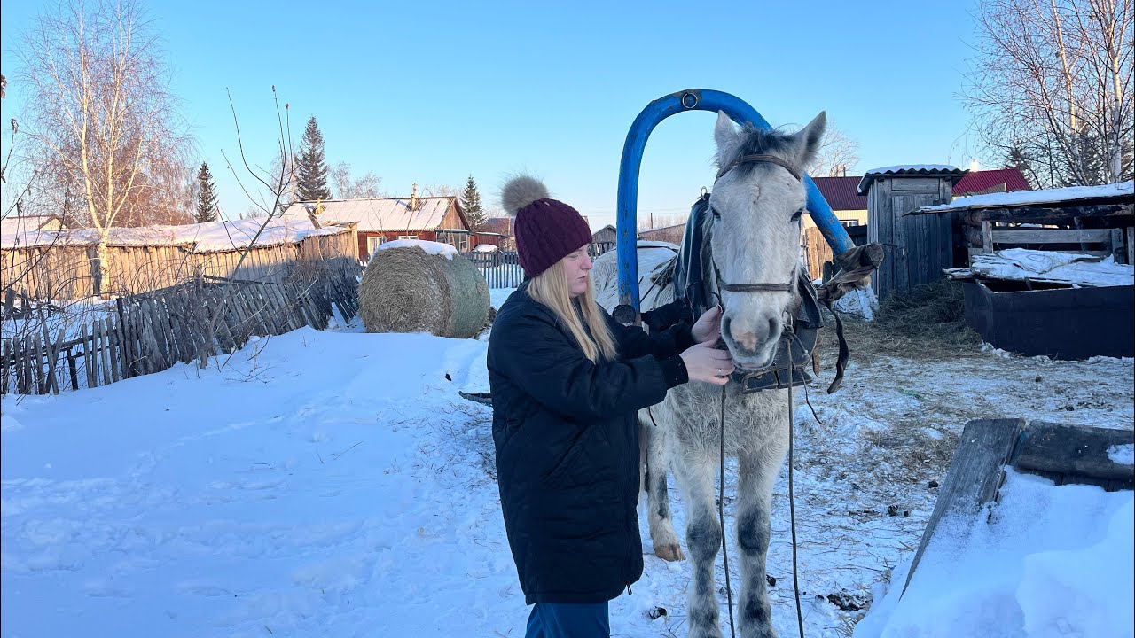 Жизнь в селе🏡. Перекрутили мясо. Чистка сарая 🪏. Учусь запрягать коня в сани
