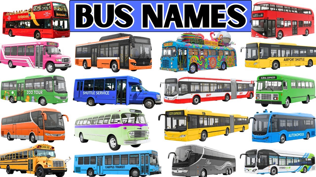 Названия автобусов | Легко выучите названия 20 автобусов для детей 🚌
