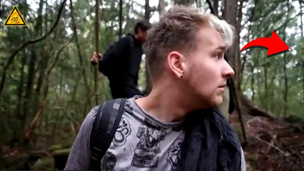 6 Encontros Sinistros Em Florestas 🌲 Assustadoras!