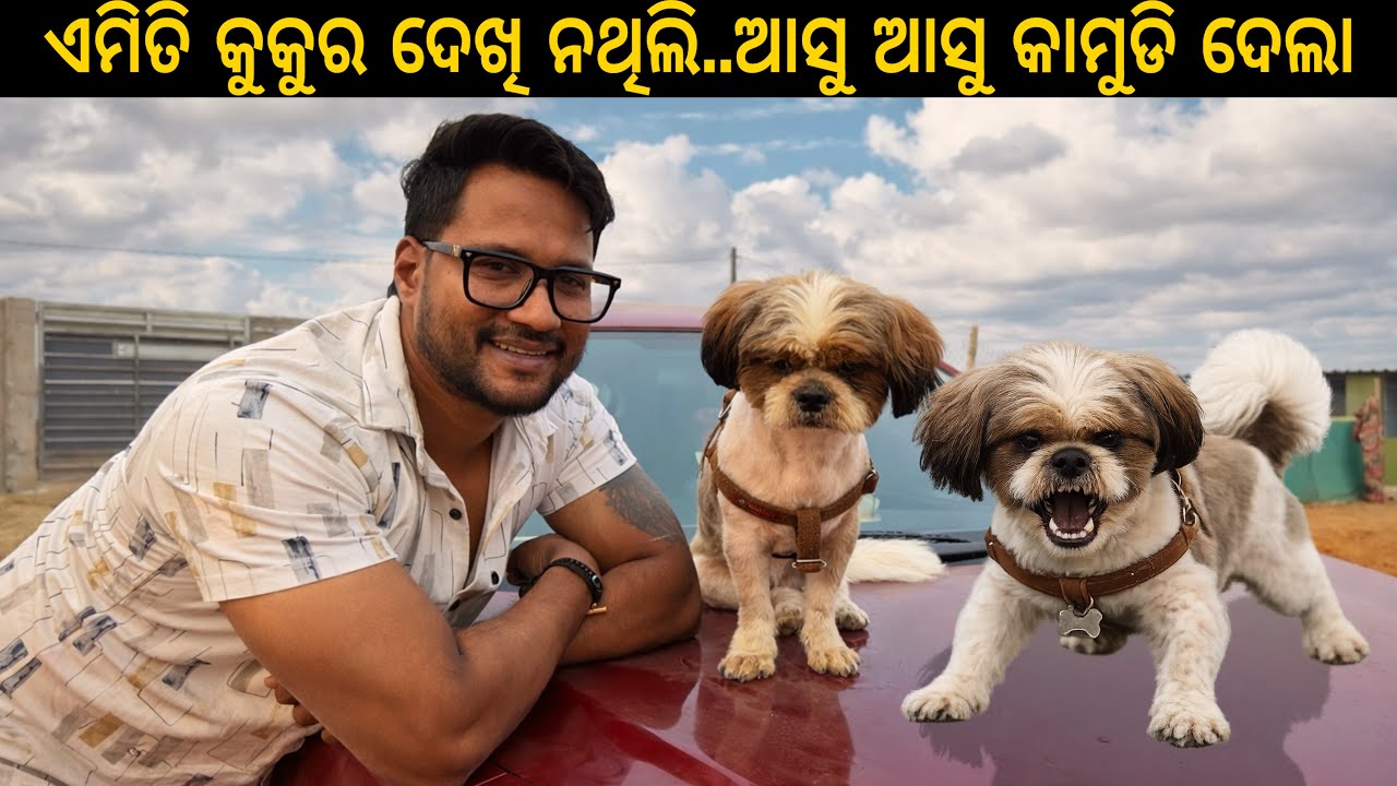 ଏମିତିକା କାମୁଡା କୁକୁର କେବେବି  ଦେଖି ନଥିଲି... ଆସୁ ଆସୁ କାମୁଡି ଦେଲା 😭