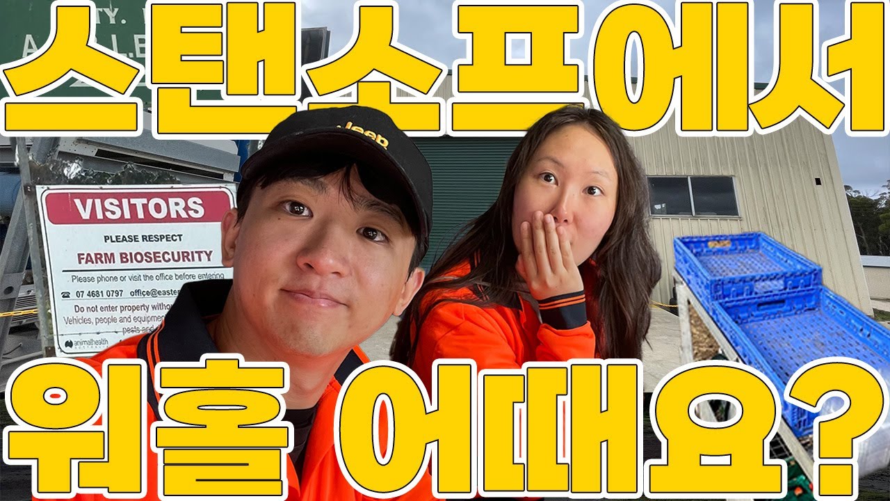🇦🇺호주 워홀 스탠소프에서 비시즌에 정착하기⁉️ 그게 되나요💥