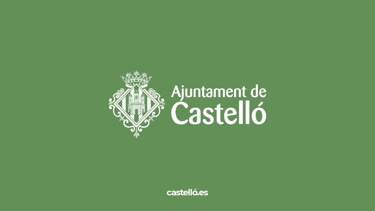 Ple ordinari de l'Ajuntament de Castelló | 29 de gener de 2026