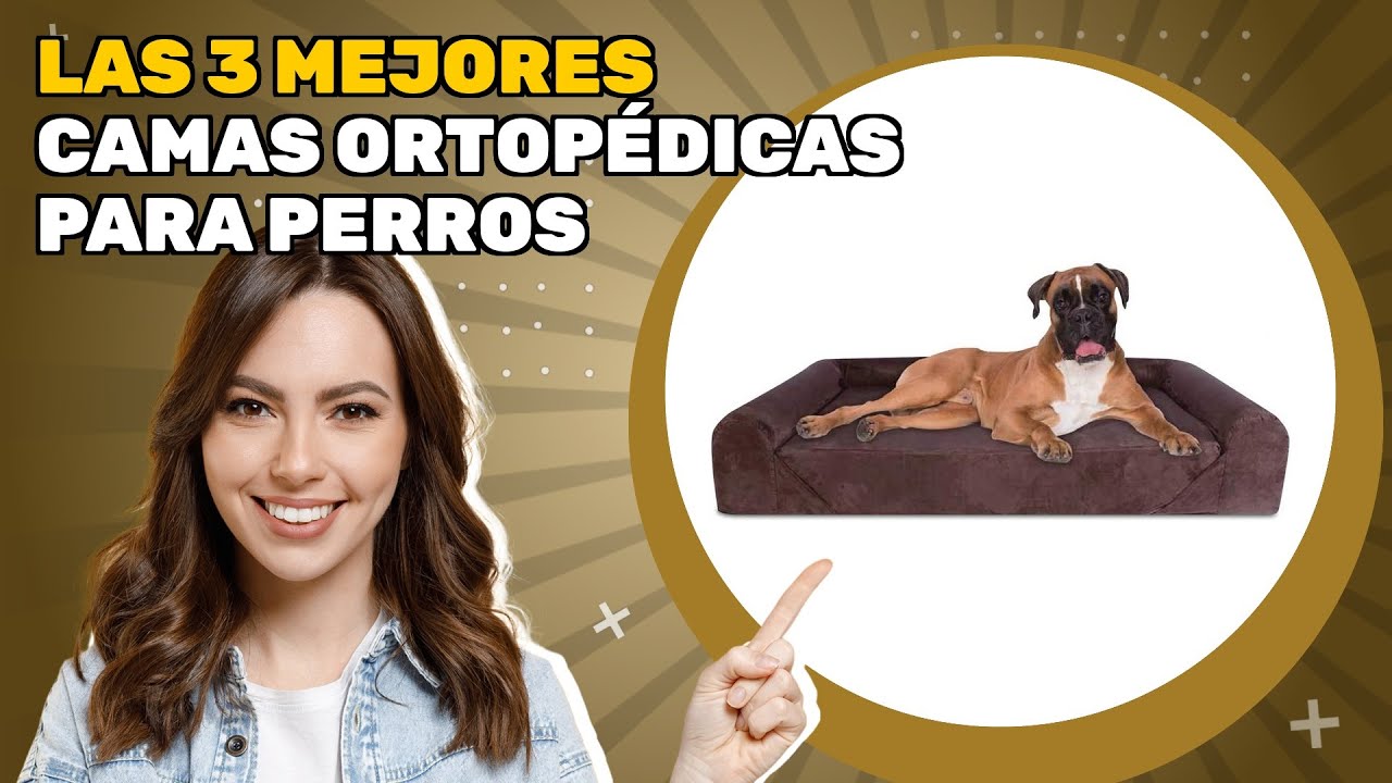Las 3 mejores camas ortopédicas para perros 2025: imperdible si buscas calidad y conveniencia
