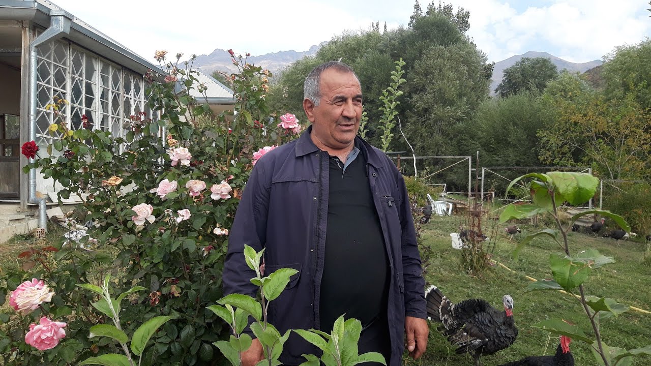 Hikmət müəllimin hindquşu təsərrüfatı.