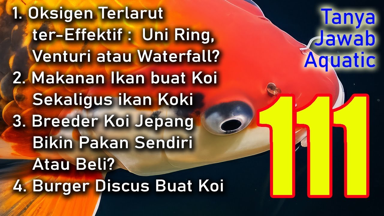 Tanya Jawab Aquatic 111