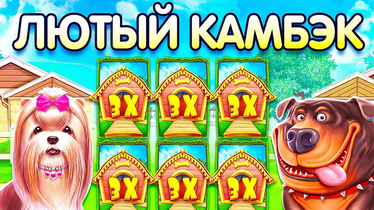 ЗАШЕЛ ПОЛУДИТЬ И ПОПАЛ в СЛОМАННУЮ СЕССИЮ ДОГ ХАУС МЕГАЙВЕЙС / Dog House спины удивляют!