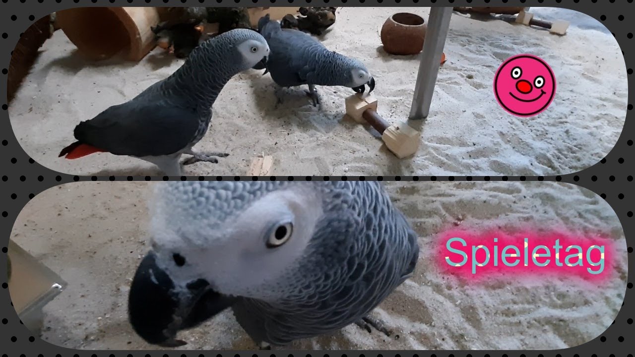 Spieletag