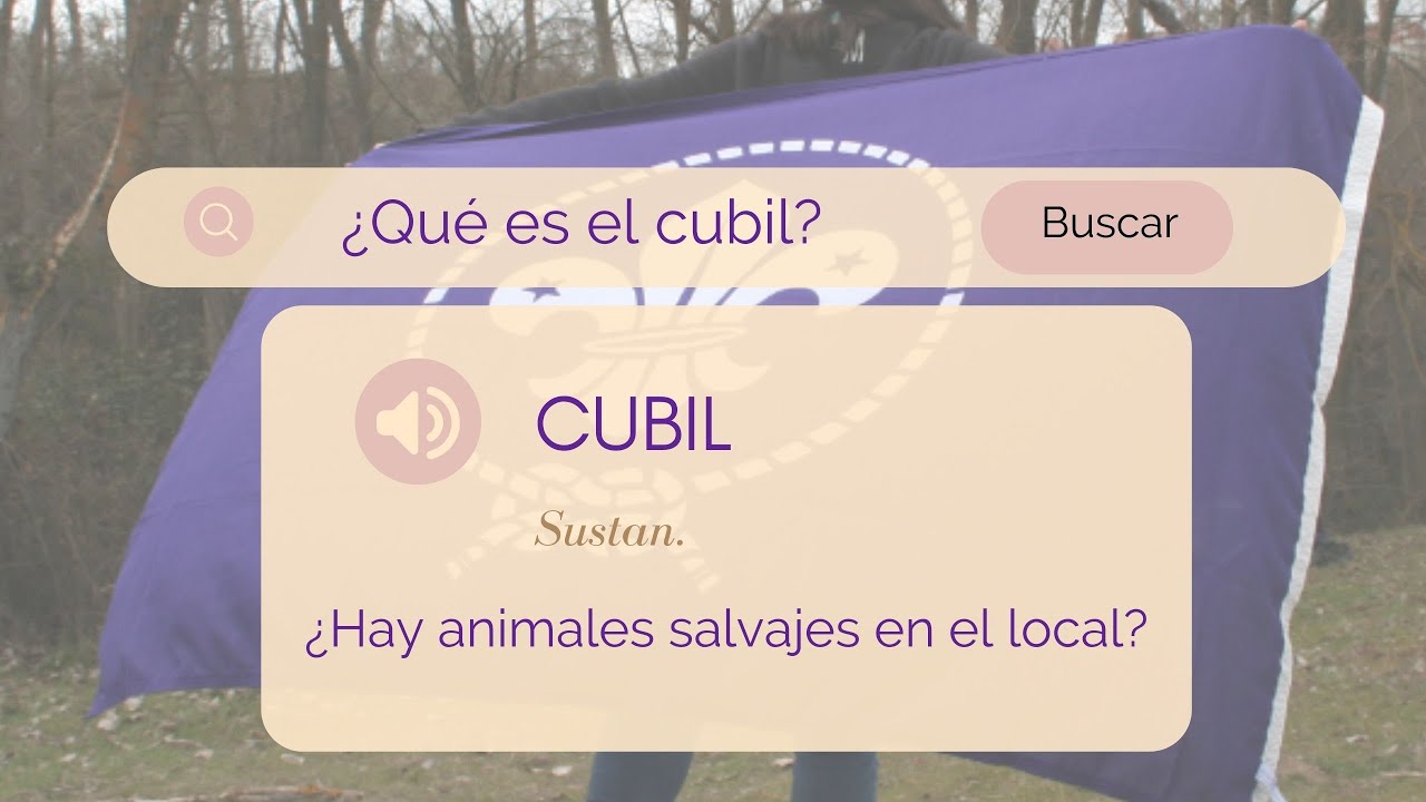¿Qué es el 🐺CUBIL en los SCOUTS?