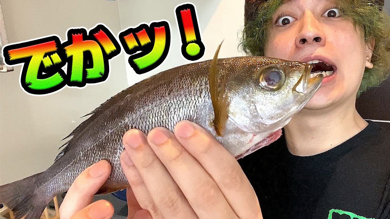 髪を染めてイサキをさばいていくッ！【罰ゲーム執行】