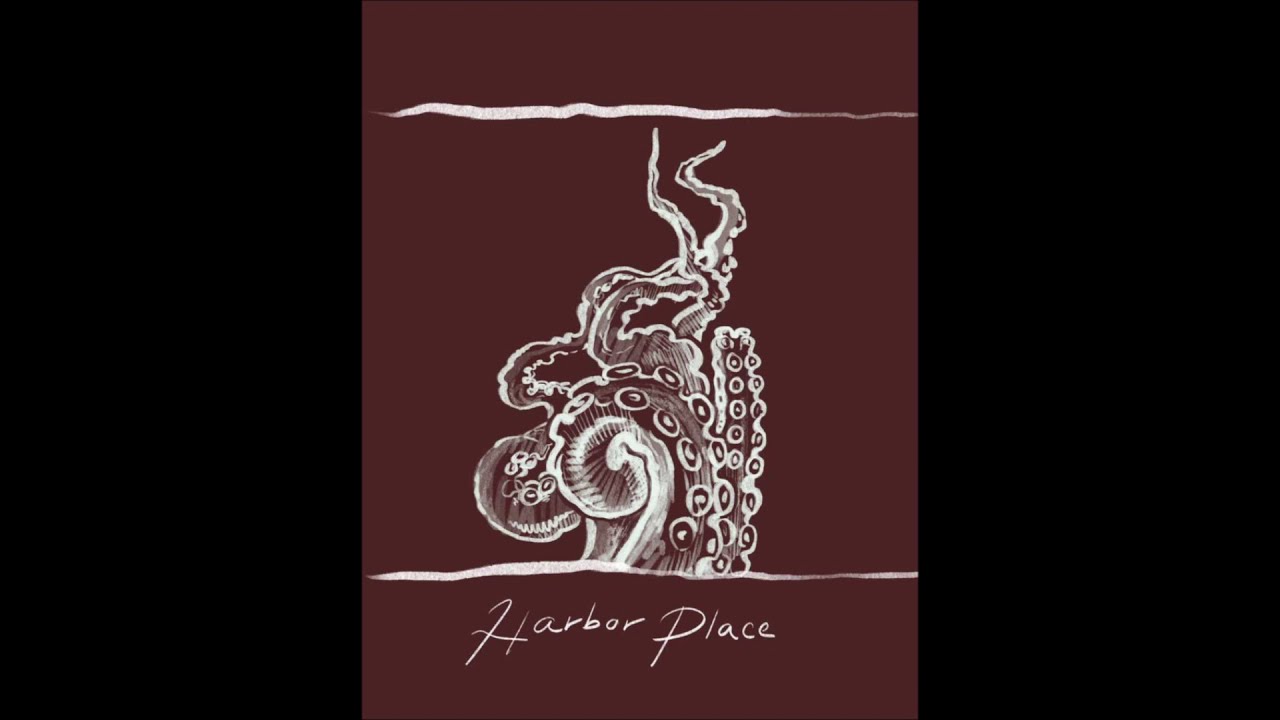 Harbor Place - In the end - linkin Park cover