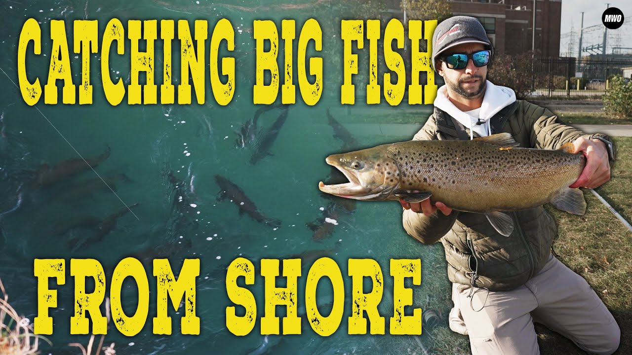Late Season Harbor Fishing: PB Brown Trout on 3-Way Rig