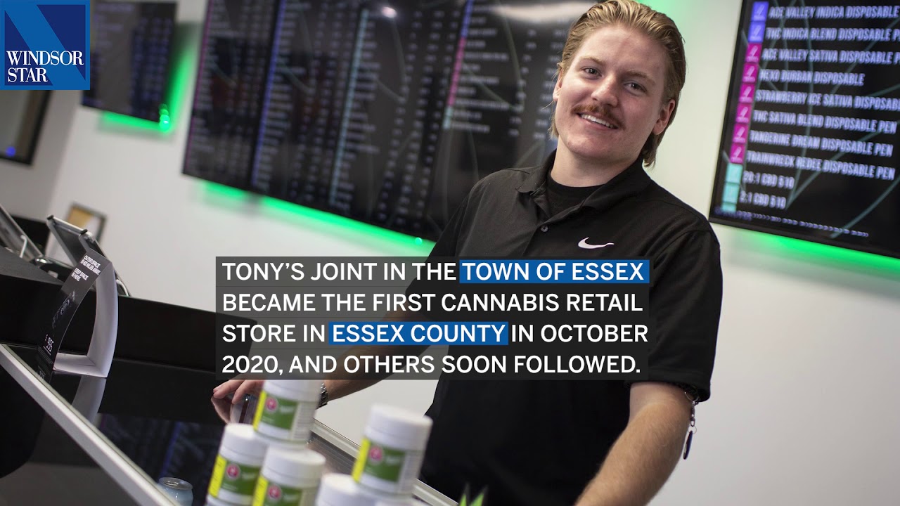 Windsor-Essex getting high on pot
