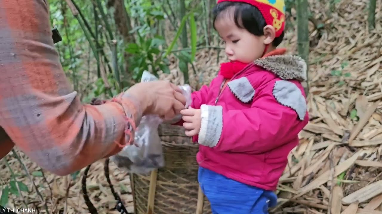 Video compilation of family reunions and emotional family meetings