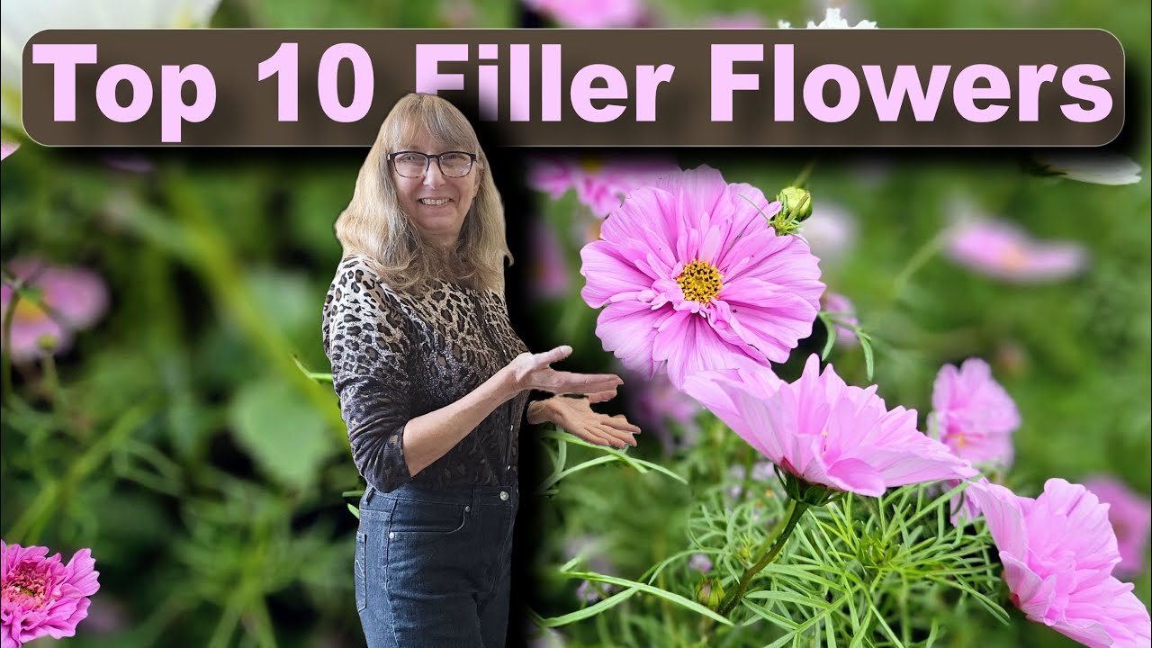 A Surprising Change to my Top 10 Filler Flowers & I'm Sad About It