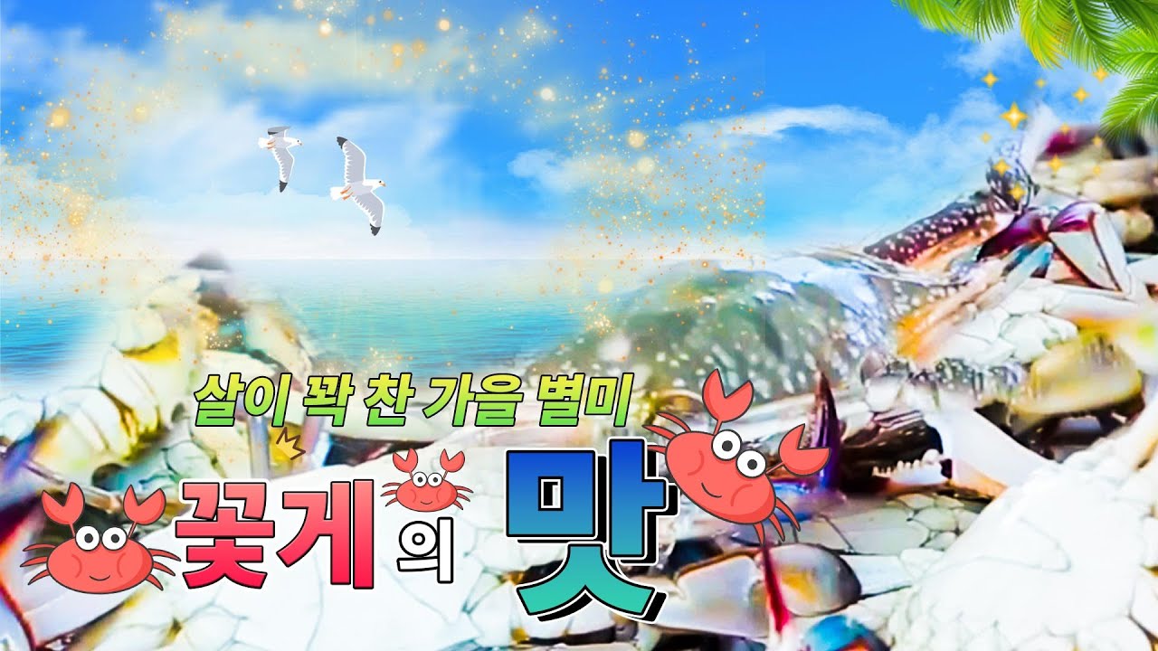 살이 꽉 찬 가을 별미🍁 꽃게의 맛🦀 [대케맛] / KBS 방송