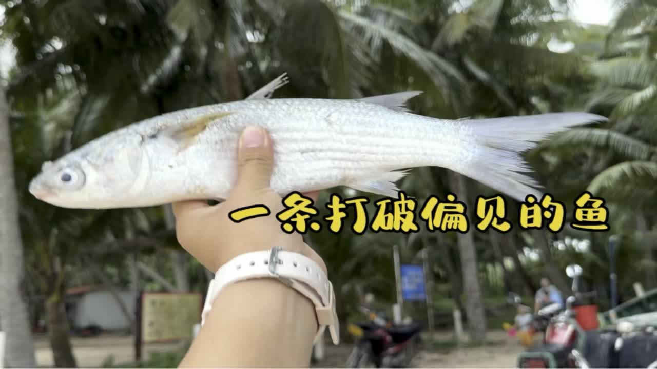 海南宰客，海南也不宰客。