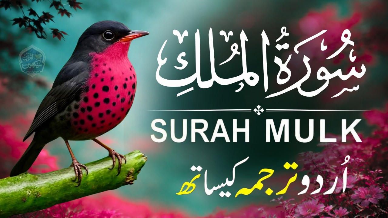 📖 Surah Mulk with Urdu Translation | Heart Touching Recitation by Qari Mansoor Ghaznawi | Ep001