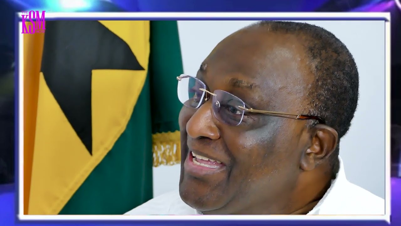 1D1F was my idea sabotaged by Akuffo Addo...Alan Kyerematen fumes...