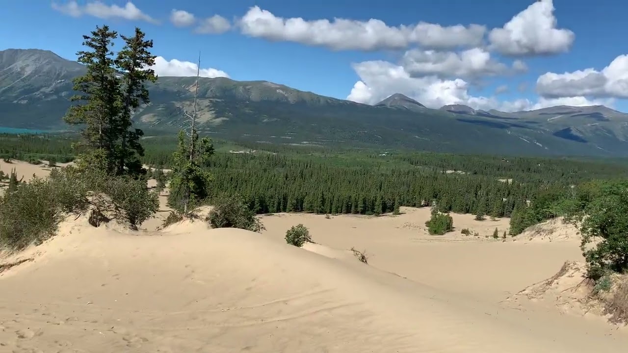 Visiting the Carcross Desert