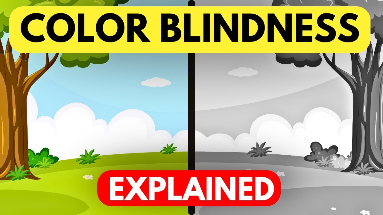 Why Can&rsquo;t I See Certain Colors? Understanding Color Blindness