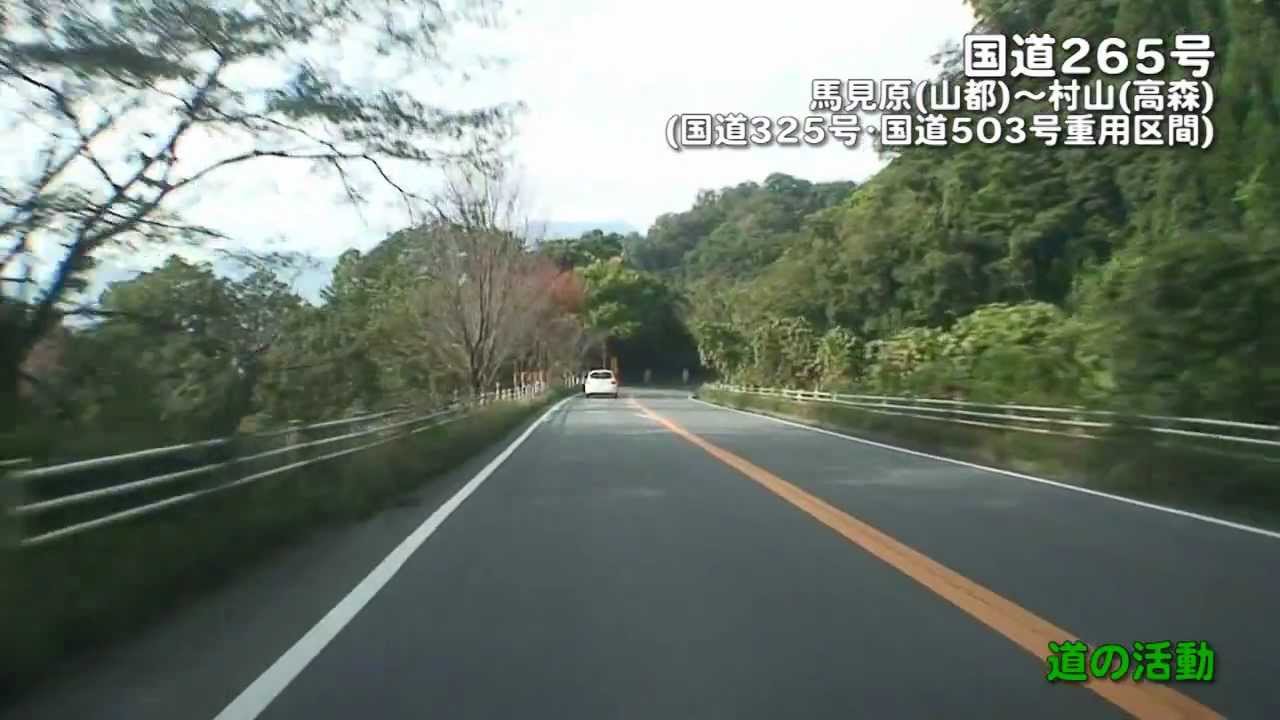 【道の活動】国道265号・その9