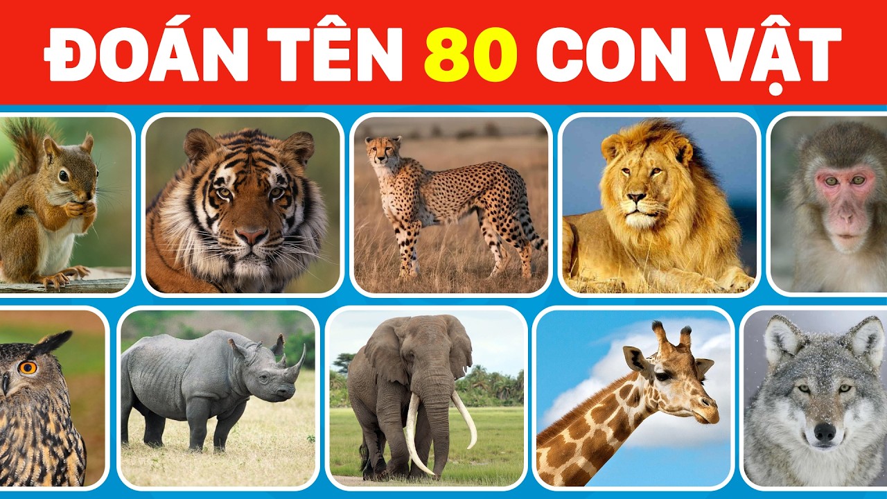 Thử Thách Đoán Tên 80 Loài Động Vật Trong Rừng | Chỉ 3% Người Có Siêu Trí Nhớ Mới Đoán Đúng Tất Cả