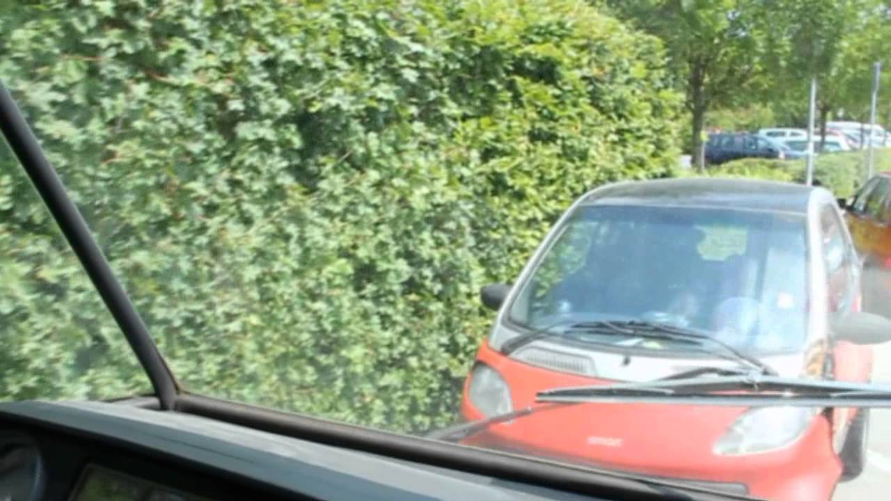 Élet a Zukkal