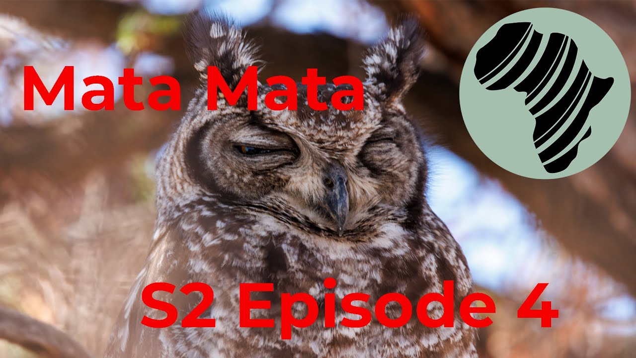 Exploring The Joy Of Mata Mata In Season 2 Episode 4: A Hot And Happy Adventure