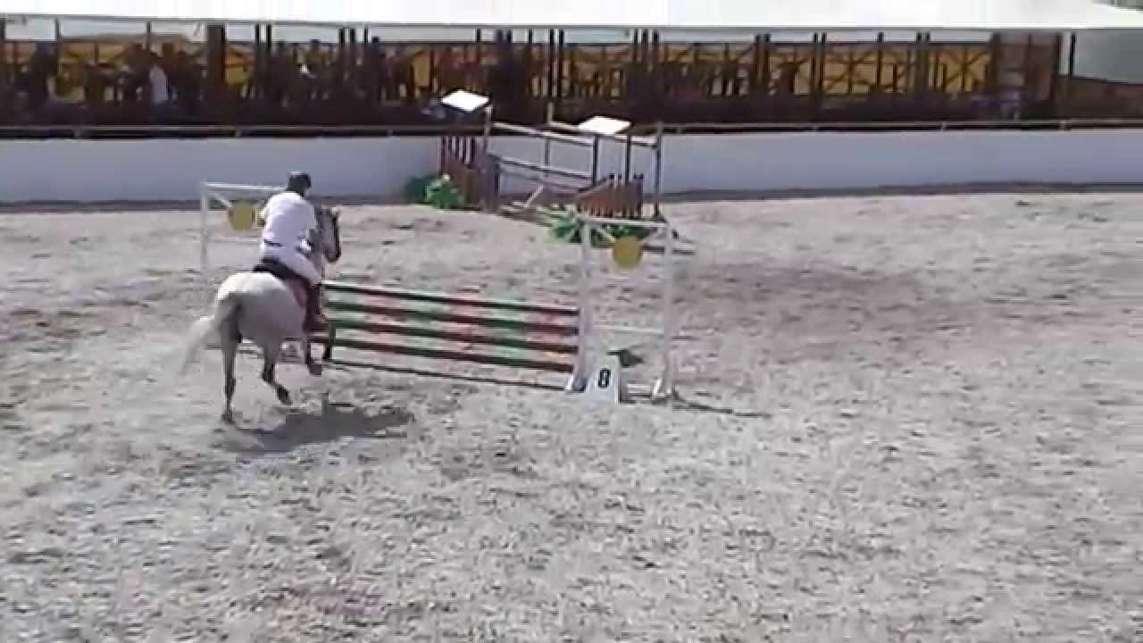 140810 Роман Ведмидь команда IIC & Gray Cloud 10 80см 1 место перепрыжка Flying Horse Cup 3 этап
