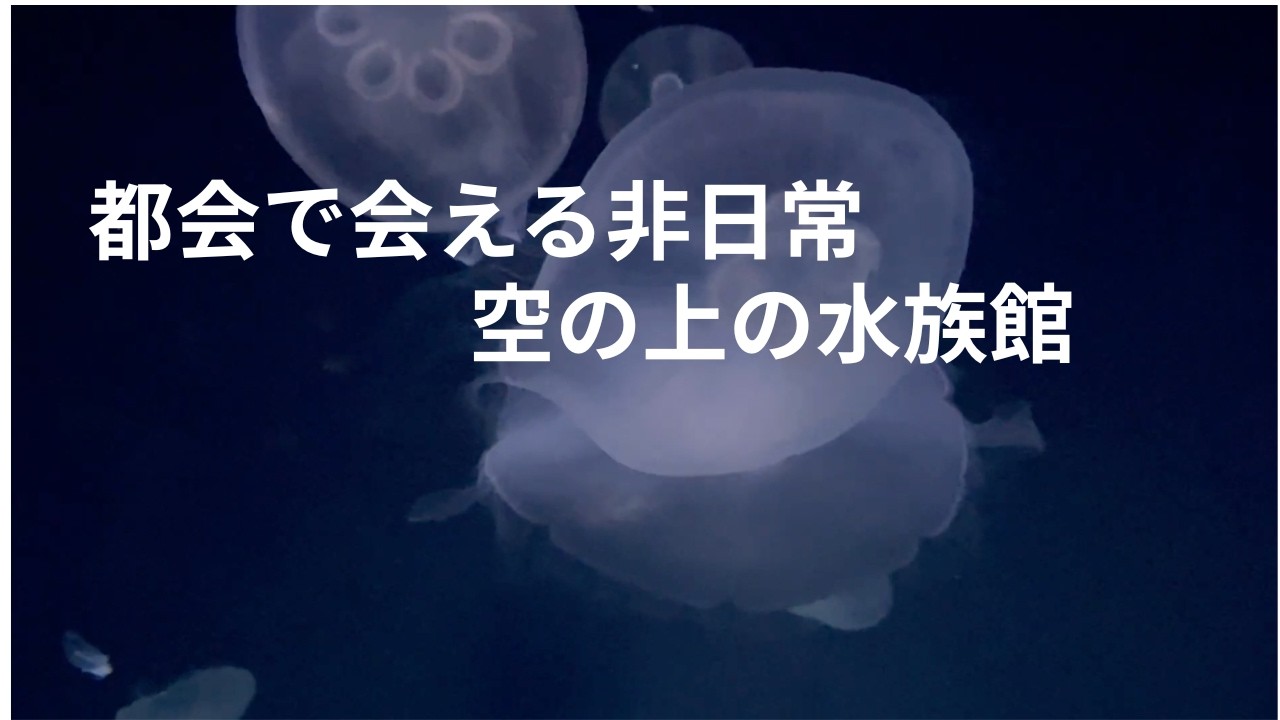 ビルの屋上にある水族館｜サンシャイン水族館をじっくり散策