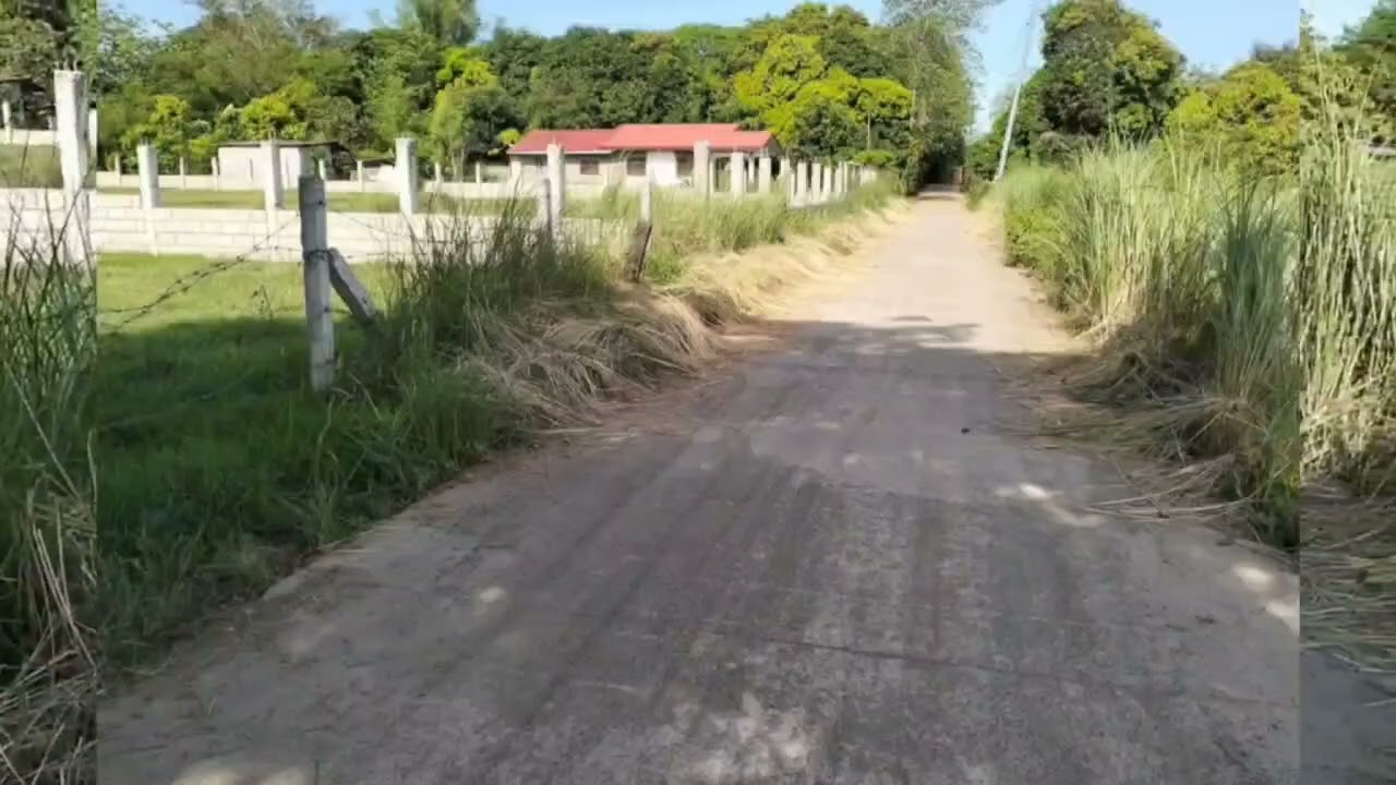 V#111| Residential Lot for sale Located at Cuyapo Nueva Ecija Area: 640 sqmPrice: 900k only