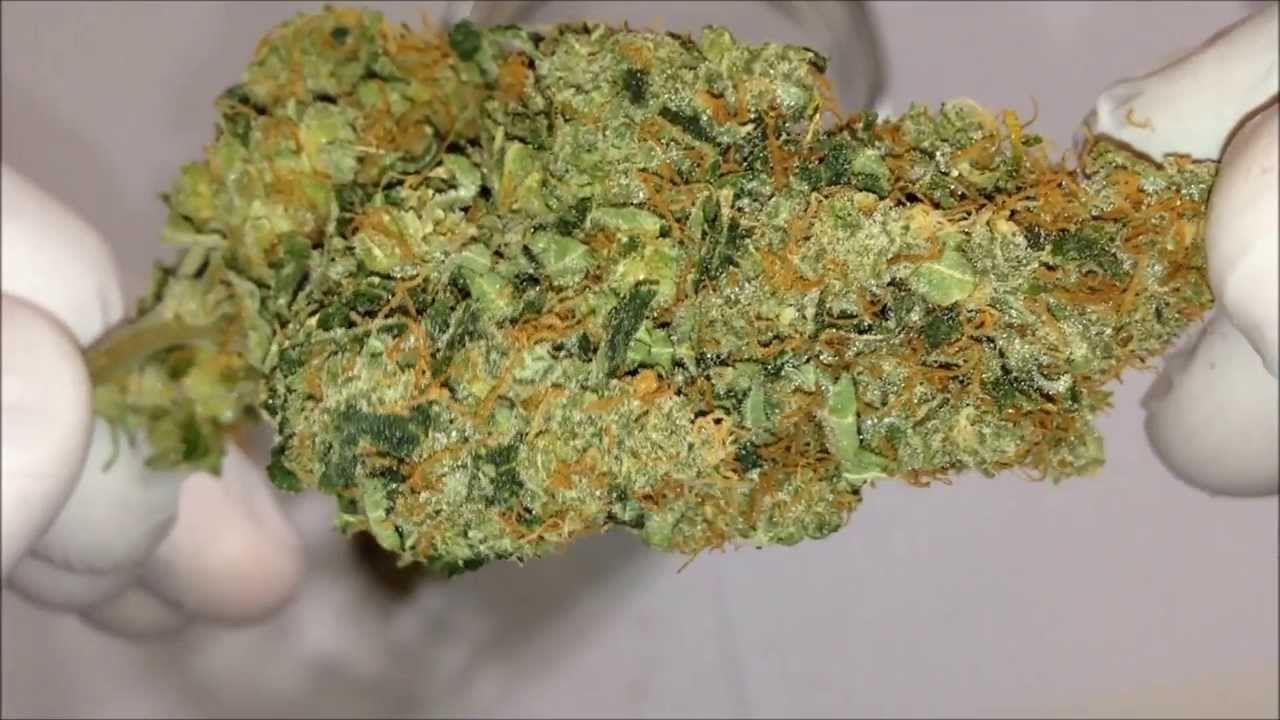 Chemdawg Bud Video