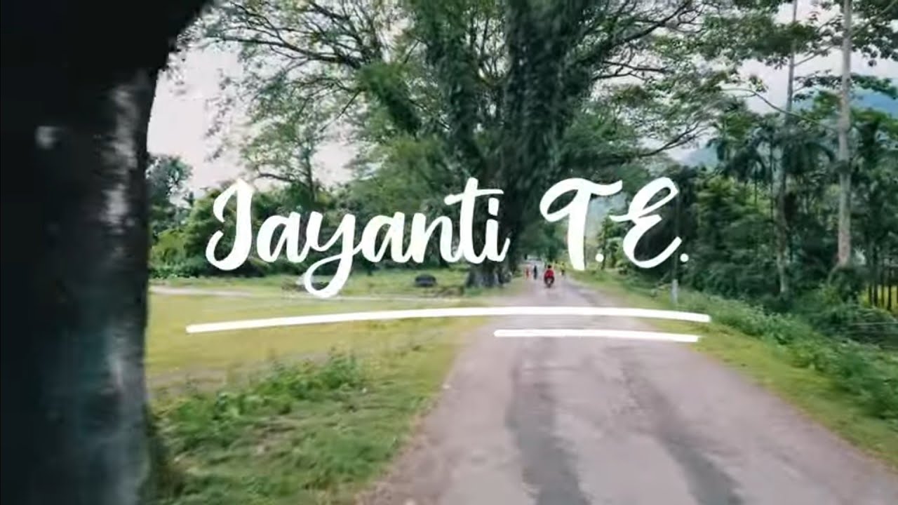 J A Y A N T I 🌱 TEA GARDEN  | ALIPURDUAR  | DOOARS 🌴🌿🌲🪴⛰