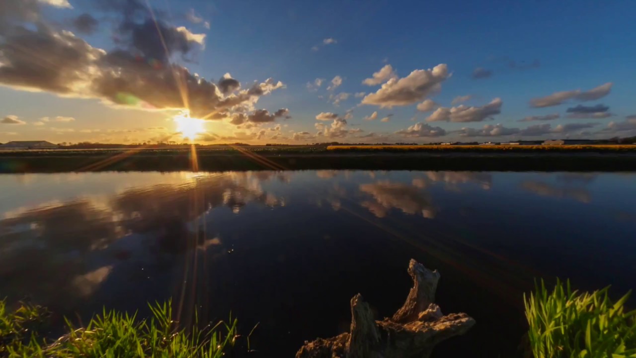 [TIMELAPSE] Sunset between the flower fields