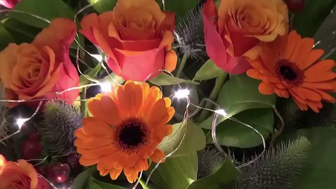 Intratuin Bloemen HD 1080P
