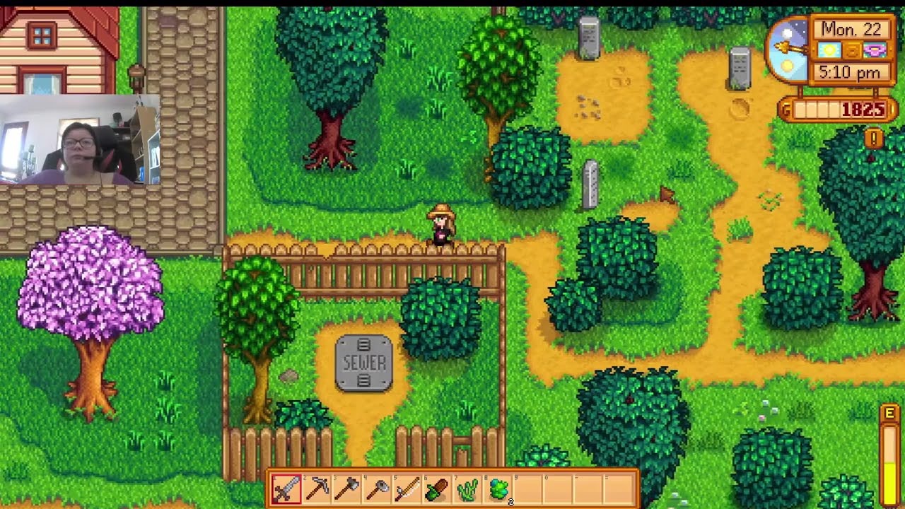 Stardew valley shenanigans